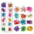 Natural Dried Flowers for DIY Resin Mold Filling Material, Resin Casting Mold, Coaster, Keychain and Coaster DIY Craft Art Project Decoration