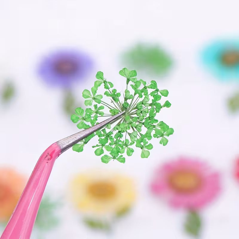 Natural Dried Flowers for DIY Resin Mold Filling Material, Resin Casting Mold, Coaster, Keychain and Coaster DIY Craft Art Project Decoration
